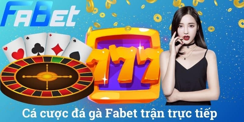 Cá cược đá gà Fabet trận trực tiếp
